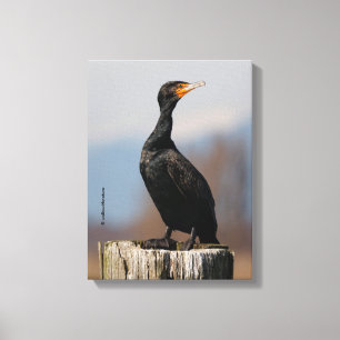 Toile Profil d'un cormoran à aigrettes