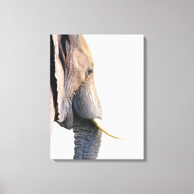 Toile Profil éléphant portrait animal de la jungle (Recto)