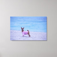 Profil latéral d'un chien debout sur la plage,