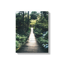 Promenade À Travers La Forêt