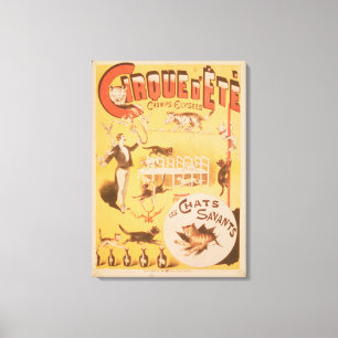 Toile Publicité par affichage le d'Ete de Cirque dans