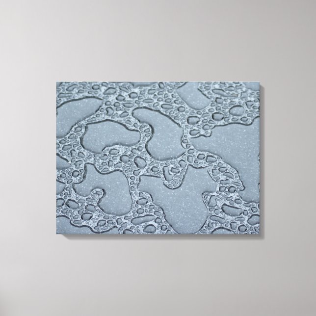 Toile Pudles humides de pluie (Raindrops) (Recto)