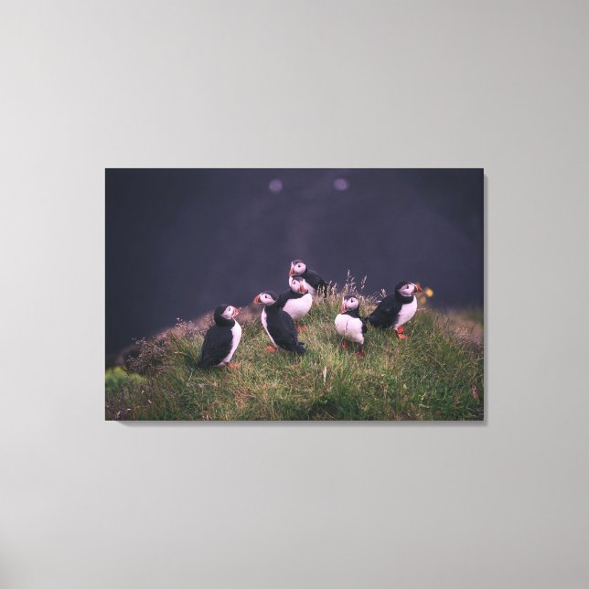 Toile Puffins de l'Atlantique (Recto)