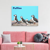 Puffins de l'Atlantique