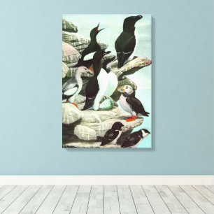 Toile Puffins et oiseaux aquatiques d'époque par Louis F
