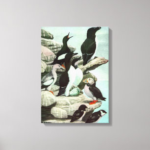 Toile Puffins vintages et oiseaux aquatiques de Louis Fu