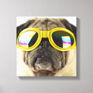 Toile Pug with Goggles