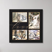 Quatre Photos pour animaux de compagnie Collage Lo