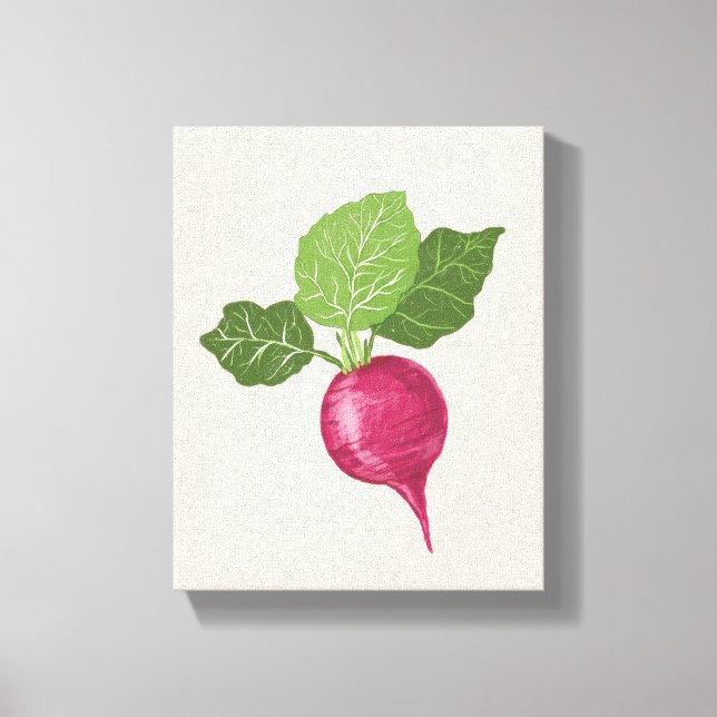 Toile Radish kitchen wall decor (vegetable illustration) (Recto)