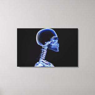 Toile Rayon X des os dans le cou