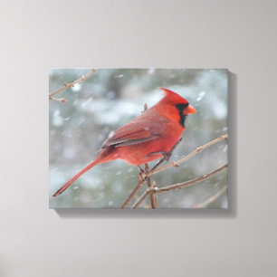 Toile Red cardinal en hiver