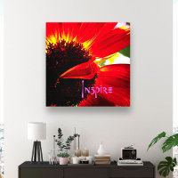 Red Gerber Daisy Closeup Photo Bold Modern Inspire