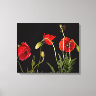 Toile Red Poppies