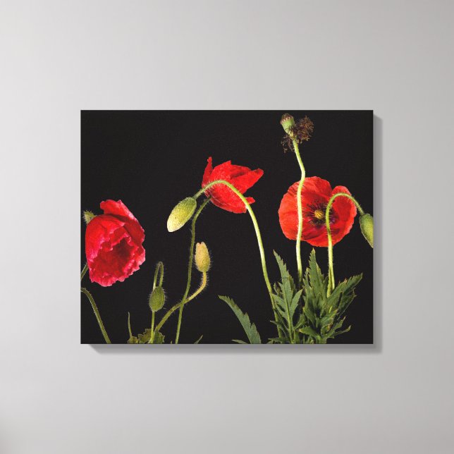 Toile Red Poppies (Recto)