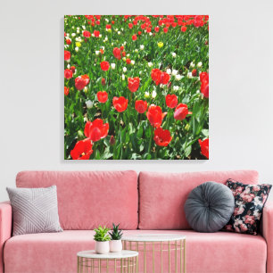 Toile Red Tulip Flower Field Nature Photographie