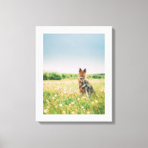 Regard Fidèle dans la Prairie