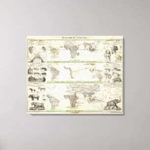 Toile Répartition géographique