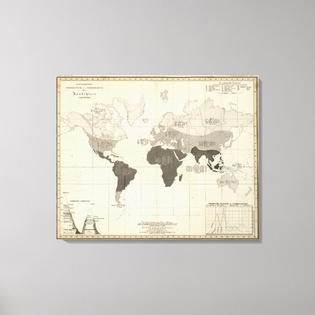 Toile Répartition géographique de la végétation (Recto)