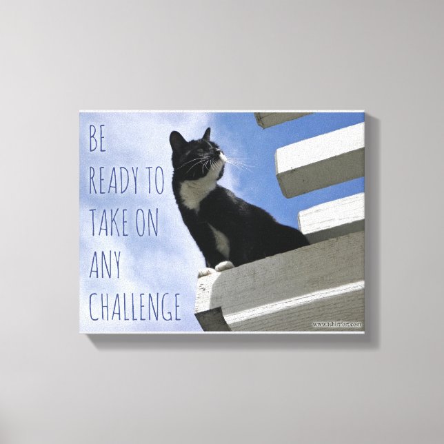 Toile Reprendre la Motivation Mondiale des Chats Mets (Recto)