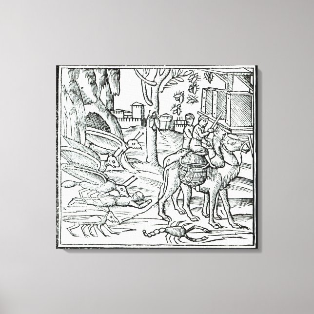 Toile Représentation de la peste, 1572 (Recto)