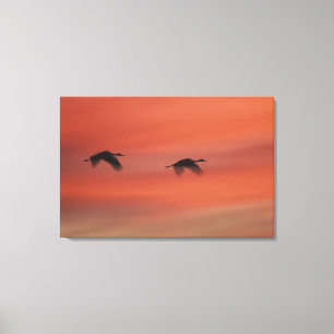 Toile Réserve faunique Bosque del Apache   Nouveau-Mexiq