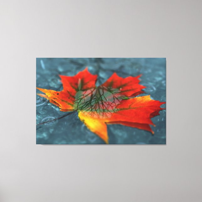 Toile Retroreflection (Recto)