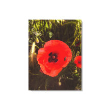Rêveur de pavot floral – Art botanique fantastique