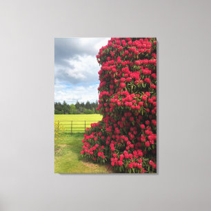 Toile Rhododendron époustouflant et vue panoramique en É
