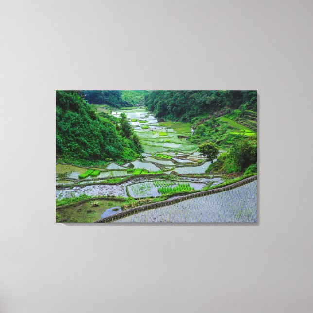Toile Rice Terraces of Banaue, Luzon (Recto)