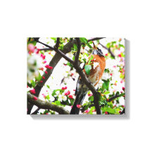 Robin en floraison Crabapper Tree Imprimer Canvas