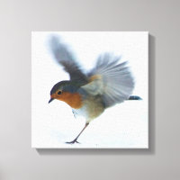 Robin Vol