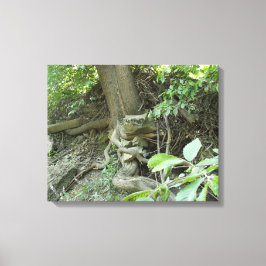 Toile Roche de repos