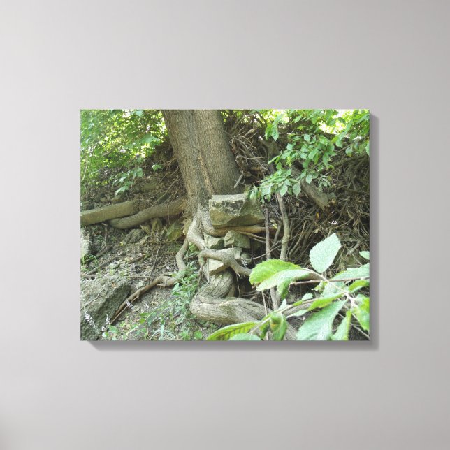 Toile Roche de repos (Recto)