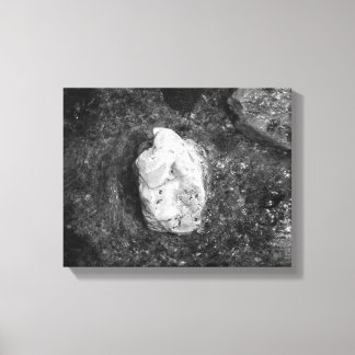 Toile Rocher noir et blanc dans l'eau du lac 11x14