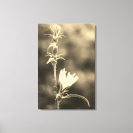 Toile Romantic Trees & Flowers – Botanical Fantasy Boho