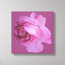 Romantique Valentine rose rose moderne boho floral