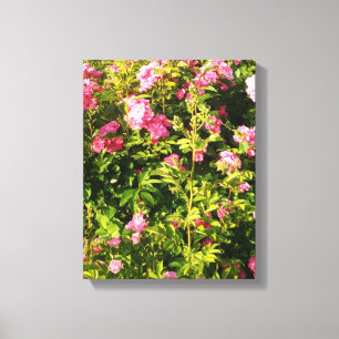 Toile Rosarium en fleurs