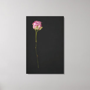 Toile Rose 3 de rose