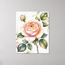 Rose anglaise à l'aquarelle