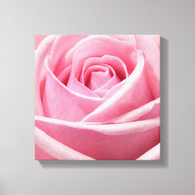 Toile Rose Art-Pink (Recto)