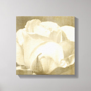 Toile Rose blanche