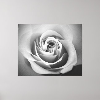 Toile Rose blanche