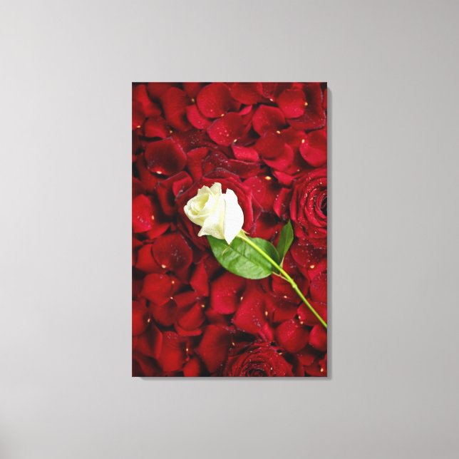 Toile Rose blanche sur pétales rouges (Recto)