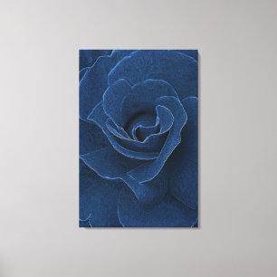 Toile Rose bleu velours