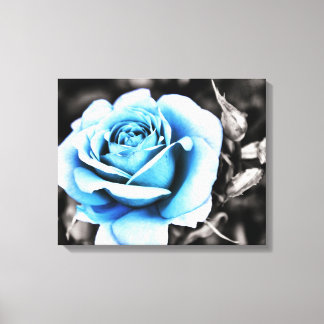 Toile rose bleue