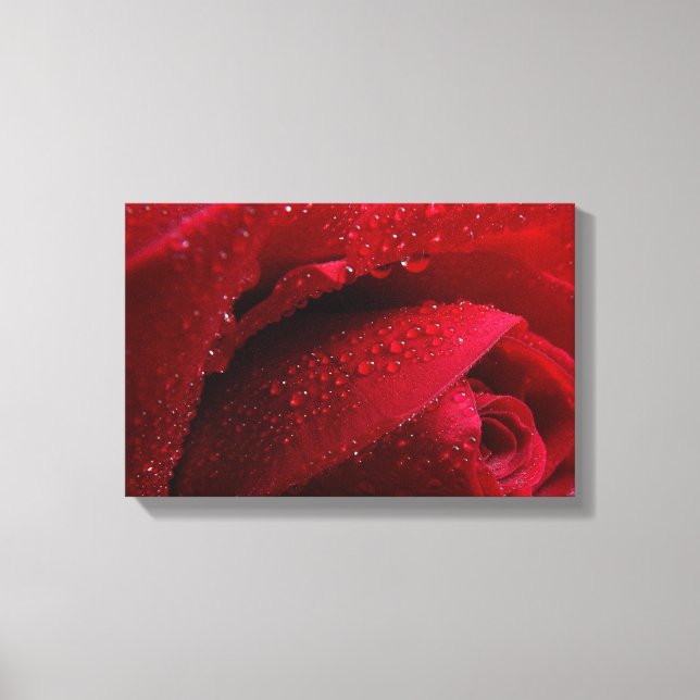 Toile Rose de macro rouge avec gouttelettes d'eau (Recto)