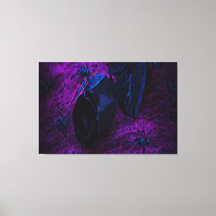 Toile Rose éffrayant en matière noire, araignées noires