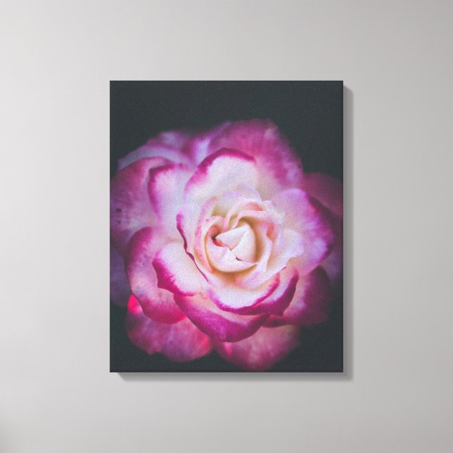 Toile Rose Fuchsia (Recto)