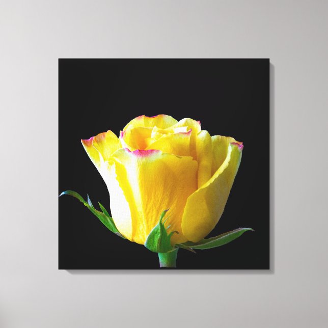Toile Rose jaune (Recto)
