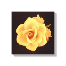 Rose jaune sur noir mat